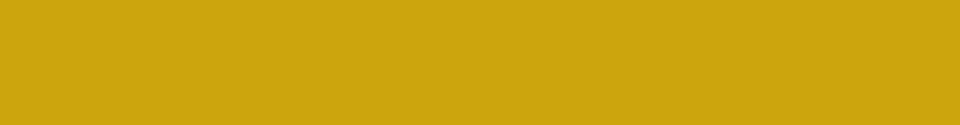 banner-yellow.png